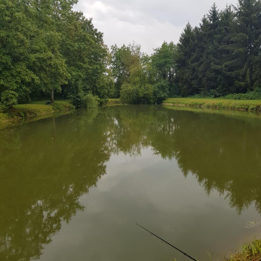 Sur La Route De Champ Colin Villa Saint-Denis-lès-Rebais Dış mekan fotoğraf